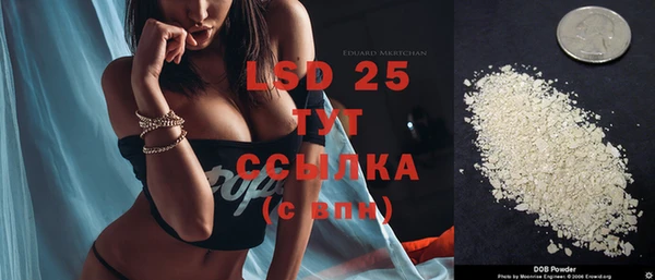 винт Богданович