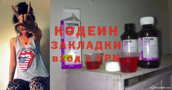 a pvp Бородино