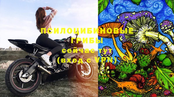 эйфоретик Бронницы