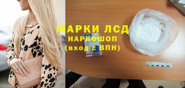 a pvp Бородино