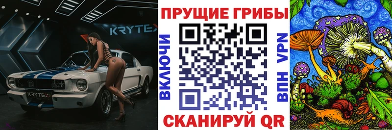 Псилоцибиновые грибы GOLDEN TEACHER где купить блэк спрут ссылки Ярославль